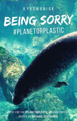 Being Sorry #PlanetOrPlastic