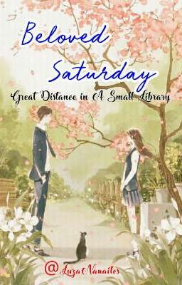 Beloved Saturday //Great Distance in A Small Library