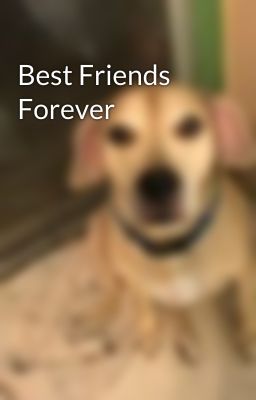 Best Friends Forever