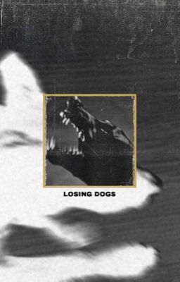 Bet on Losing Dogs / The Hunger Games