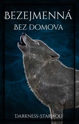 Bezejmenná: Bez domova