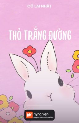 [BH][Hoàn] Thỏ trắng đường | Cố Lai Nhất