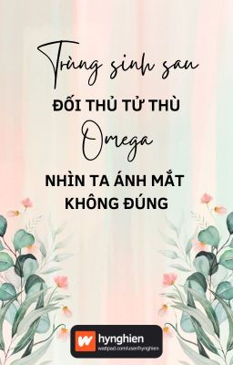 [BH][Hoàn] Trùng sinh sau đối thủ tử thù Omega nhìn ta ánh mắt không đúng