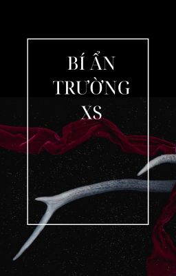 Bí ẩn trường XS