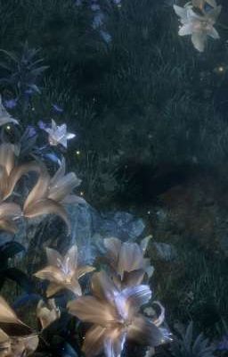 Bí Mật Của Đôi Ta