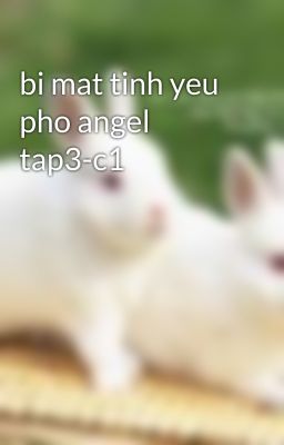 bi mat tinh yeu pho angel tap3-c1