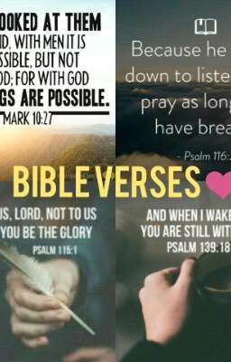 BIBLE VERSES ❤