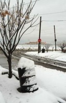 Bichos en el país del Hielo