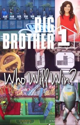 BIG BROTHER 1