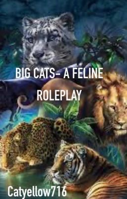 Big Cats- A Feline Roleplay