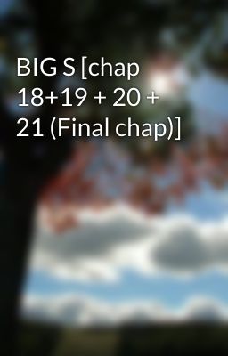 BIG S [chap 18+19 + 20 + 21 (Final chap)]