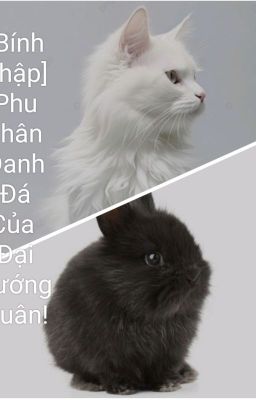 [Bính Thập] Phu Nhân Đanh Đá Của Đại Tướng Quân!