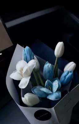 BinhSonThinh || Hoa Cẩm Tú Cầu Xanh Lục