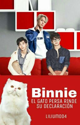 Binnie, el gato persa rinde su declaración [NAVI - VIXX]