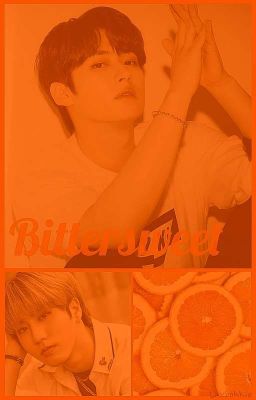 Bittersweet ∴ [Minsung]