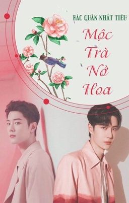 [BJYX] 1 - Mộc Trà Nở Hoa [HOÀN]