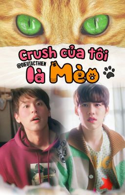 [BKPP|Hoàn] Crush Của Tôi Là Mèo