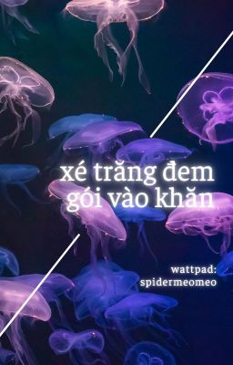 [BL/Việt] - Xé trăng đem gói vào khăn