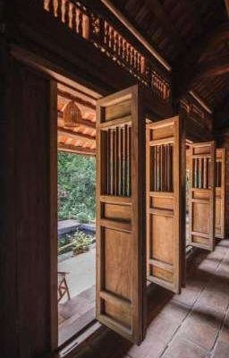 ( BL ) 𝑦𝑒𝑢 𝑒𝑚 𝑑𝑖𝑒𝑛 𝑐𝑢𝑜𝑛𝑔