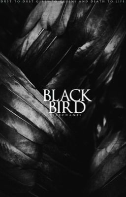 BLACK BIRD| 2017