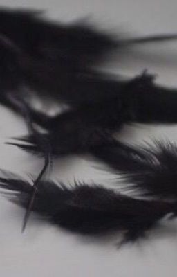 Black Feather