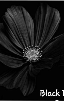 Black Flower