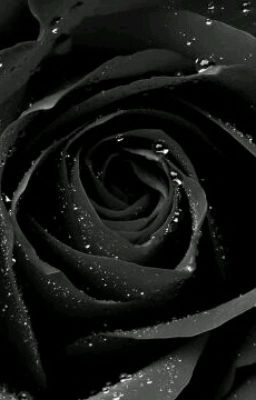 Black Roses Make Me Happy 