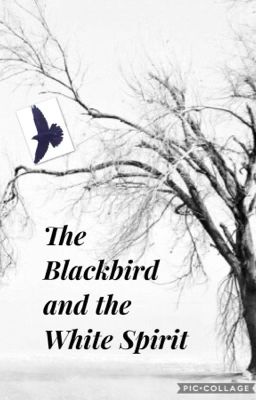 Blackbird 