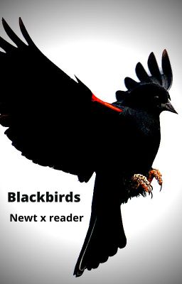 Blackirds (Newt x f!reader)