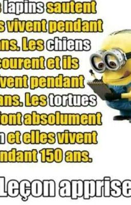 Blagues Minions