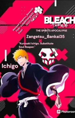 Bleach: The Shinigami In Another World