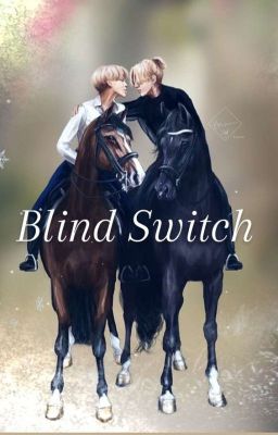 blind switch - minggukie[ON HOLD] 