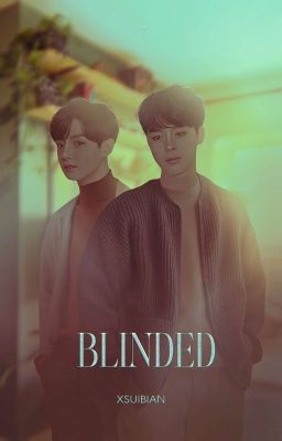 blinded ━━ pjm + jjk