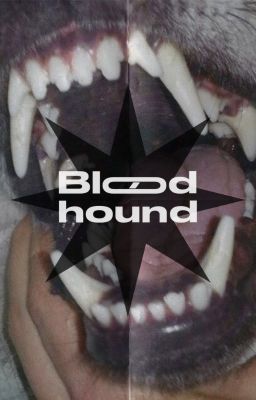 Bloodhound ✹ Ellie Williams