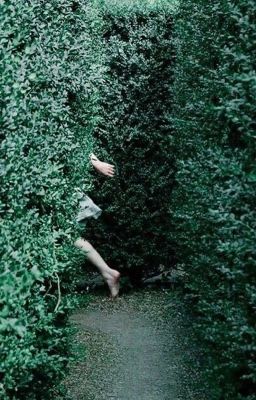 blue rabbit | oliver aiku x reader | Alice in wonderland!AU |