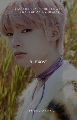 BLUE ROSE | b.c + y.ji