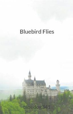 Bluebird Rises