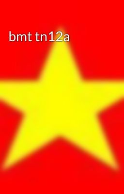 bmt tn12a