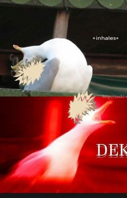 BNHA Memes