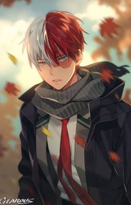 [BNHA Oc] [Hãy nắm lấy tay em nhé.]~ (Todoroki x oc) ~