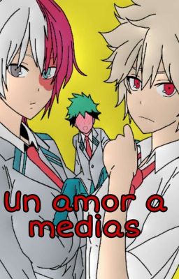 Bnha : Un amor a medias