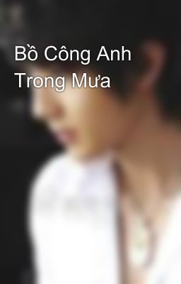 Bồ Công Anh Trong Mưa