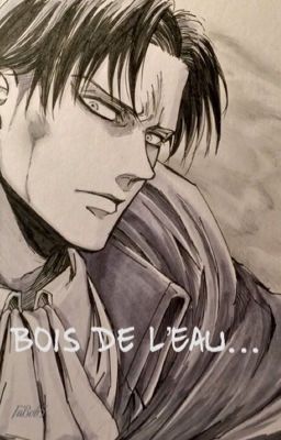 Bois de l'Eau... [Levi x Fem!Reader]