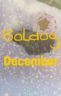 Boldog December - kihívás