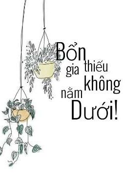 Bổn Thiếu Gia Không Nằm Dưới!