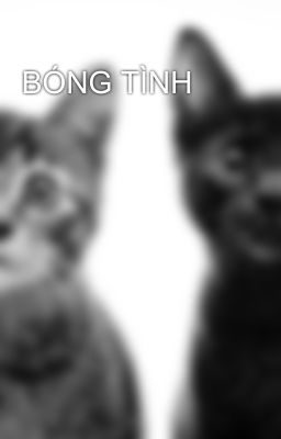 BÓNG TÌNH