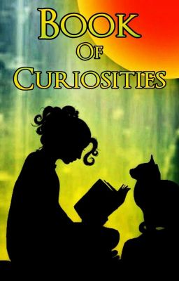 Book Of Curiosities