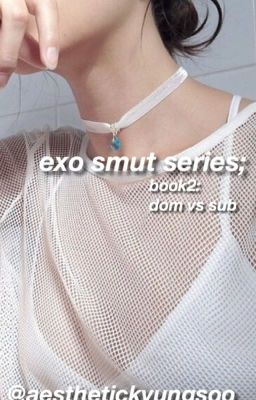 book2: dom vs sub [exo smut series]