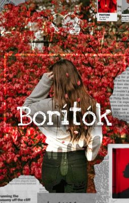 Borítók II/Szünetel/