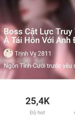 Boss cật lực truy thê: vợ à tái hôn với anh đi!